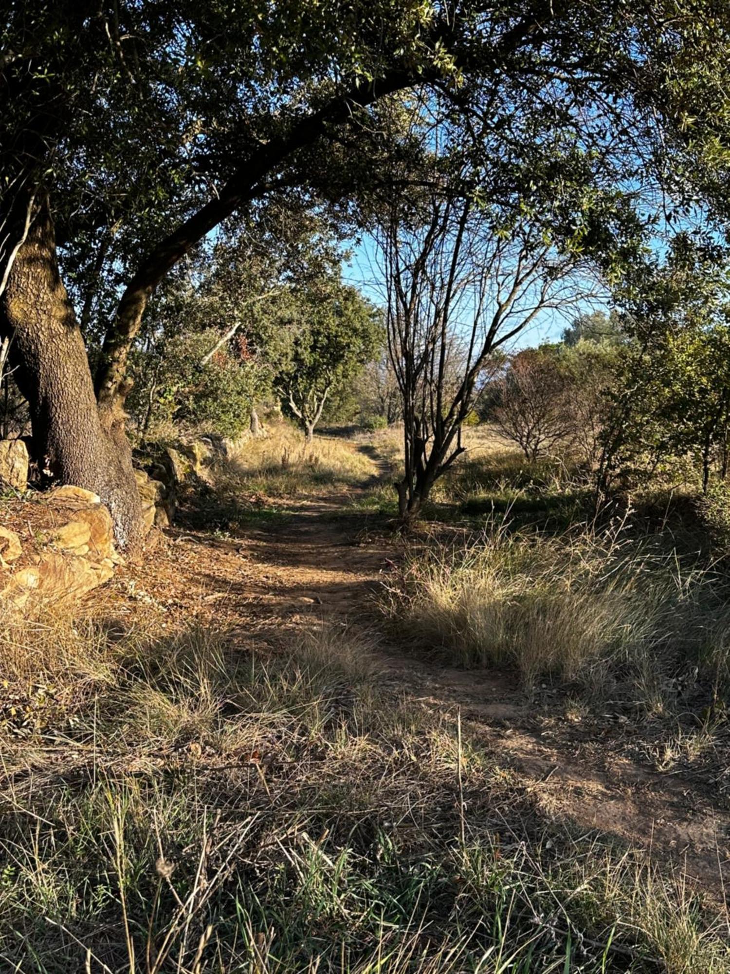 Oasis Des Corbieres Bed & Breakfast Boutenac Bagian luar foto